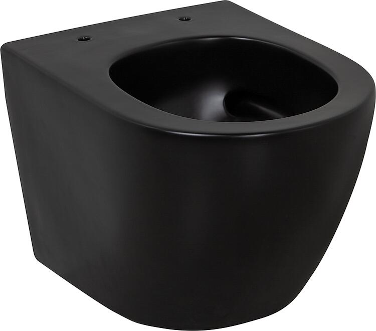 Wand WC Combi-Pack Arax Wand Tiefspül WC Spülrandlos mit Silent Flush schwarz